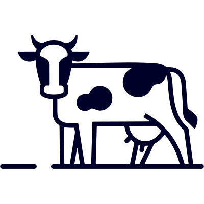 Dairy